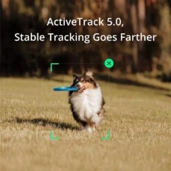 DJI Osmo Mobile SE -Djinyc Shop 267cfd50 c98d 433e a7dc cec518ed0e2c